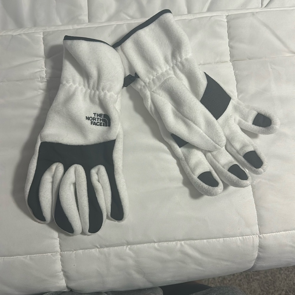 Northface gloves